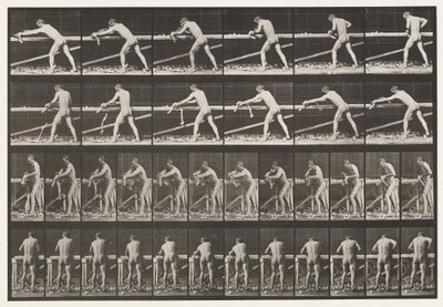 Tavle 379. Tømrer, høvle et bræt, 1872-1885 af Eadweard Muybridge