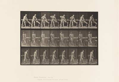 Tavle 380. Tømrer, Savning, 1872-1885 af Eadweard Muybridge