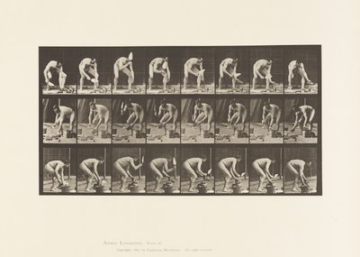 Tavle 381. Murer, At lægge en Mursten af Eadweard Muybridge