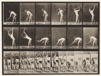 Tavle 385. Bonde, ved hjælp af en hakke, 1872-1885 af Eadweard Muybridge