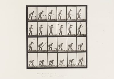 Plade 386. Minearbejder ved hjælp af en hakke af Eadweard Muybridge
