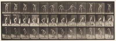 Tallerken 387. Bonde, ved hjælp af en langskaftet skovl af Eadweard Muybridge
