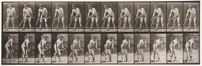 Tallerken 391. Bonde, Slår Græs af Eadweard Muybridge