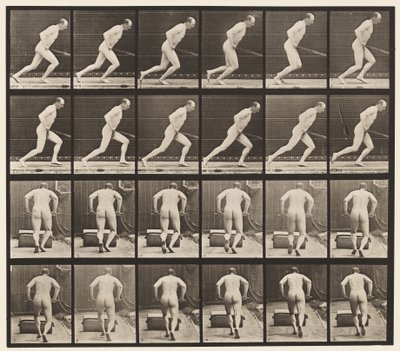 Tavle 393. Skubber en haverulle, 1872-1885 af Eadweard Muybridge