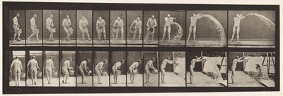 Tavle 399. Tømmespand vand, 1872-1885 af Eadweard Muybridge