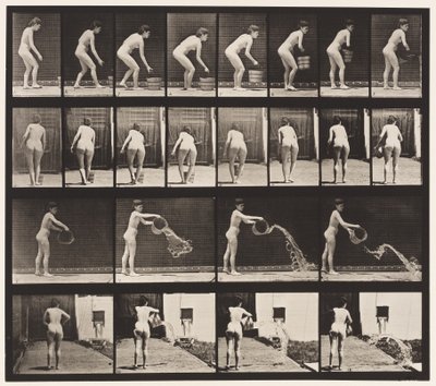 Tallerken 401. Tømmespand med vand af Eadweard Muybridge