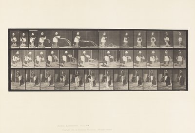 Plade 404.Tømmespand med vand, 1885 af Eadweard Muybridge
