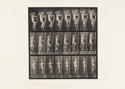 Plade 405. Bærende hånd af mursten op ad en stige, 1872-1885 af Eadweard Muybridge