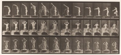 Plade 409. Hældning af bassin med vand over hovedet af Eadweard Muybridge