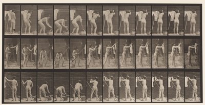 Tavle 434. Hængende tøj på line, 1872-1885 af Eadweard Muybridge