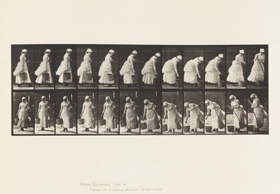 Plade 437. Nedsættelse af spand og klargøring til fejning af Eadweard Muybridge