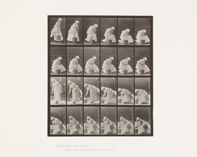 Plade 438. Nedsættelse af spand og klargøring til skrubning, 1885 af Eadweard Muybridge