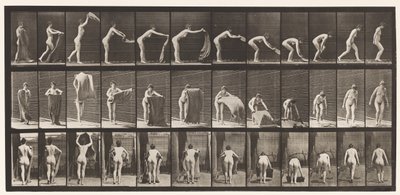 Plade 439. Spredning af et tæppe på gulvet, 1872-1885 af Eadweard Muybridge