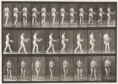 Plade 43. Gå, drysse vand fra bassinet, vende rundt af Eadweard Muybridge
