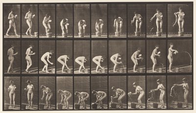 Tallerken 440. Bøje- og skylleglas af Eadweard Muybridge