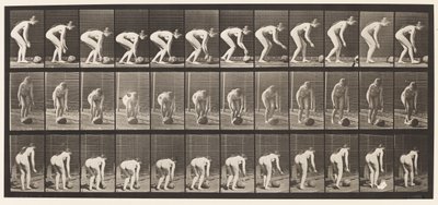 Tavle 442. Bøje sig og rulle en Sten på Jorden af Eadweard Muybridge