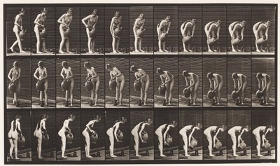 Tallerken 446. Påfyldningskande på jorden fra vandkrukke af Eadweard Muybridge