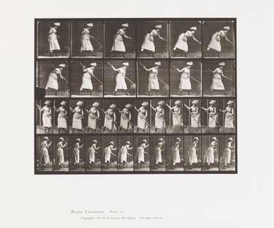Plade 456. Rangeringen er 165 af Eadweard Muybridge