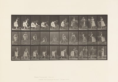 Tallerken 458. Løfte håndfulde hø, vende, kaste det ned af Eadweard Muybridge