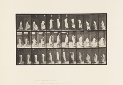 Tavle 459. At træde på stolen, række op og ned, 1885 af Eadweard Muybridge