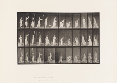 Plade 463. At række op, bøje sig og vende rundt, 1885 af Eadweard Muybridge
