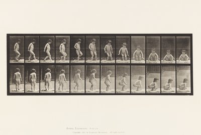 Tavle 476.Barn, der sætter sig på jorden af Eadweard Muybridge