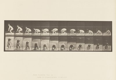 Tavle 479. Barn, der rejser sig fra jorden af Eadweard Muybridge