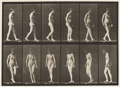 Plade 47. Gå og vende sig om af Eadweard Muybridge
