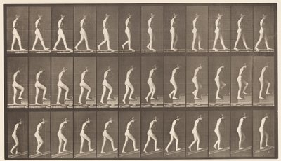 Tavle 482. A, Gang; B, Opstigende Trapper; C, Stigende Hældning, 1872-1885 af Eadweard Muybridge