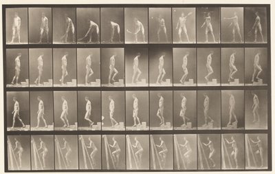 Plade 486. A, Plænetennis; B, Opstigende et Trin;, 1872-1885 af Eadweard Muybridge