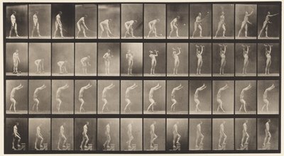 Plade 488. A, Plænetennis; B, Dumb Bells; C, Går på hænder;, 1872-1885 af Eadweard Muybridge