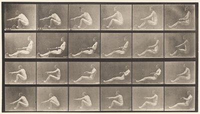 Plade 492. A af Eadweard Muybridge