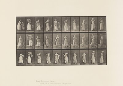 Plade 495. Diverse faser af toilettet af Eadweard Muybridge