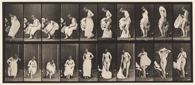 Tavle 498. Toilettets Diverse faser, 1872-1885 af Eadweard Muybridge