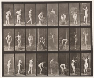 Tavle 499. Rivning og pakning af hø, 1872-1885 af Eadweard Muybridge