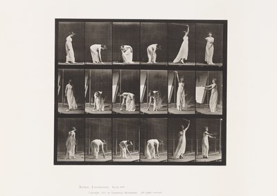 Plade 503. Diverse - Bøjning mv af Eadweard Muybridge