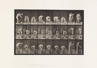 Plade 505. Murerarbejde af Eadweard Muybridge