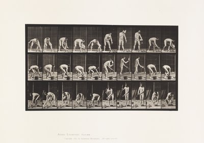 Tavle 506. Murerarbejde af Eadweard Muybridge