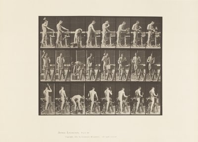 Tavle 507. Tømrerarbejde af Eadweard Muybridge