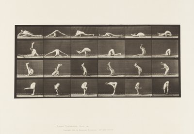 Tavle 510. Forvridninger på jorden, 1872-1885 af Eadweard Muybridge