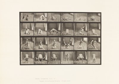 Plade 511. Forvridninger på jorden af Eadweard Muybridge