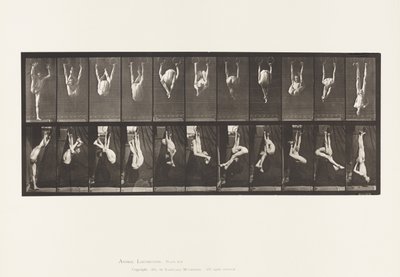 Plade 512. Forvridninger på ringe af Eadweard Muybridge