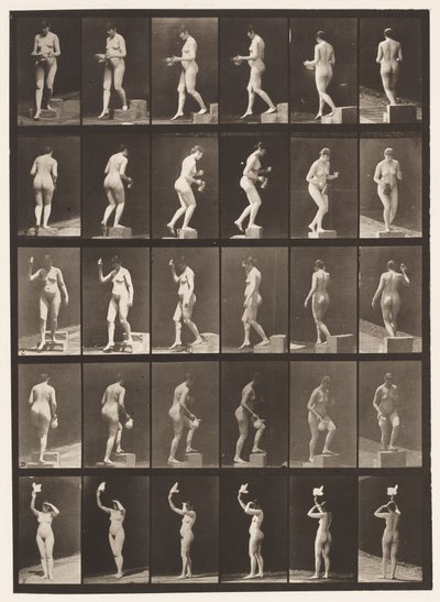 Plade 525. A, Faldende Trin; B, Stigende Trin;, 1872-1885 af Eadweard Muybridge