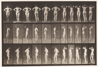 Tavle 531. Forskellige Stillinger af Eadweard Muybridge