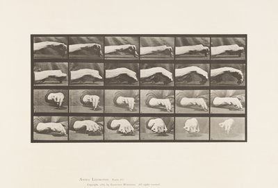 Tallerken 532. Håndens bevægelse; Tegning af en cirkel, 1885 af Eadweard Muybridge