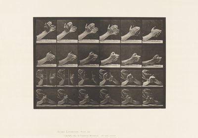 Tallerken 533. Håndens bevægelse; Klæber hænder, 1885 af Eadweard Muybridge