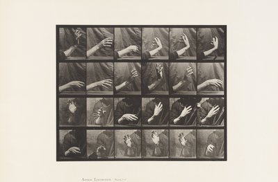 Tavle 535. Håndens Bevægelse; Beating Time, 1885 af Eadweard Muybridge