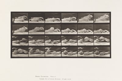 Tavle 536. Håndens Bevægelse; Hænder, der skifter blyant af Eadweard Muybridge