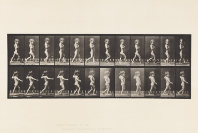 Plade 540.A, Bue Ben; Dreng; B, Spinal Caries; Pige går, 1885 af Eadweard Muybridge