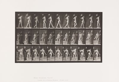 Plade 541. Multipel Cerebro-Spinal Sklerose (Choreic); Gåture af Eadweard Muybridge